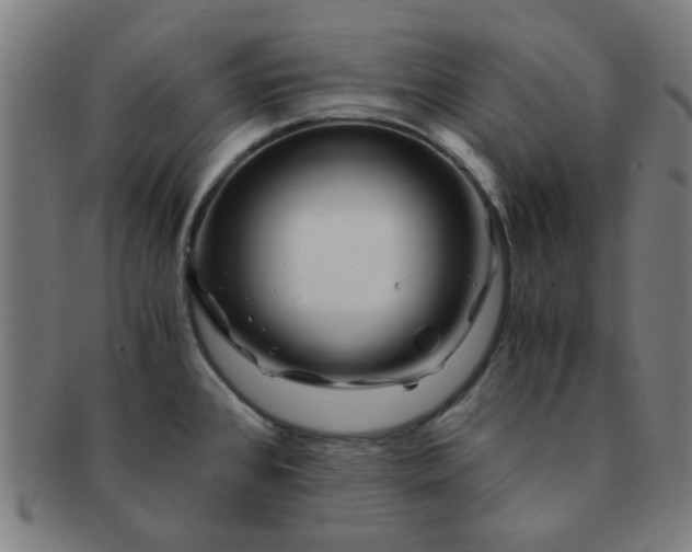 X0000091361384200708241300