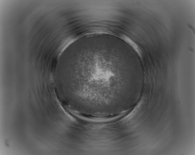 X0000091361385200708241300