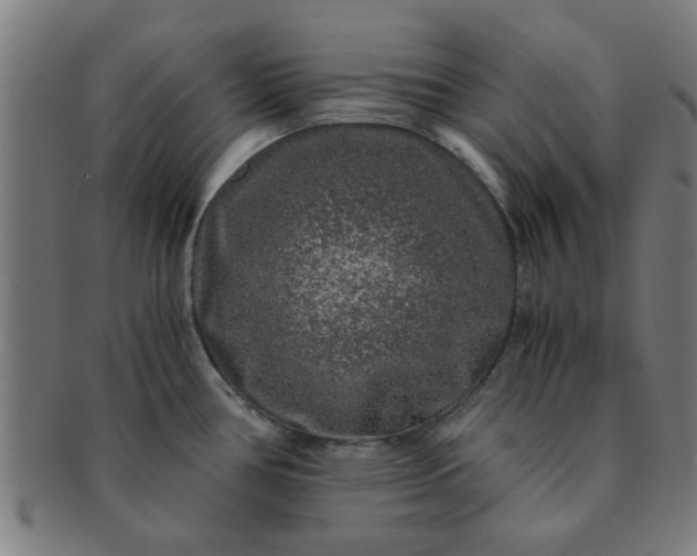 X0000091361386200708241300