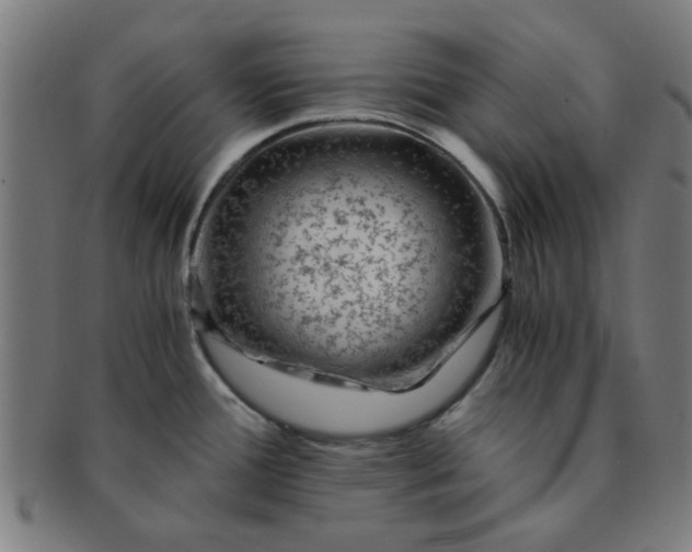 X0000091361388200708241300