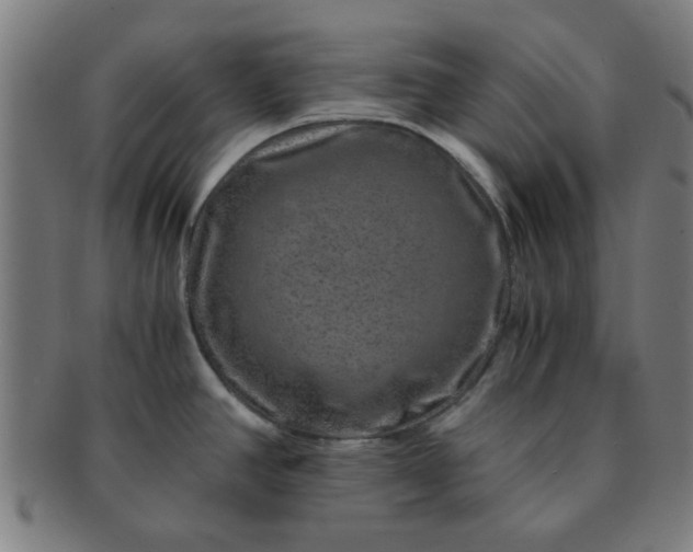 X0000091361390200708241300