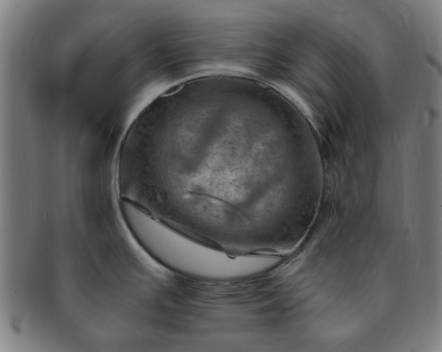 X0000091361391200708241300