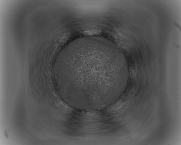 X0000091361393200708241300