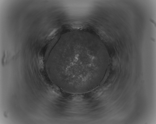 X0000091361394200708241300