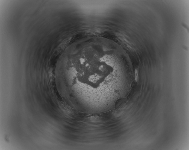 X0000091361395200708241300