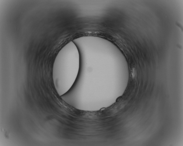 X0000091361396200708241300