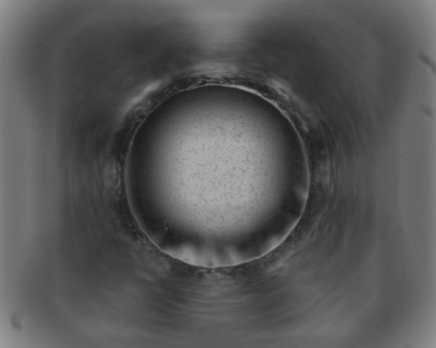 X0000091361398200708241300