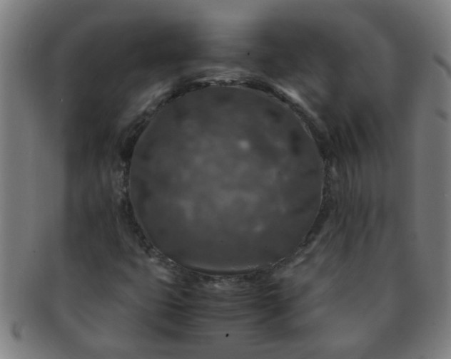 X0000091361399200708241300