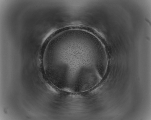 X0000091361400200708241300