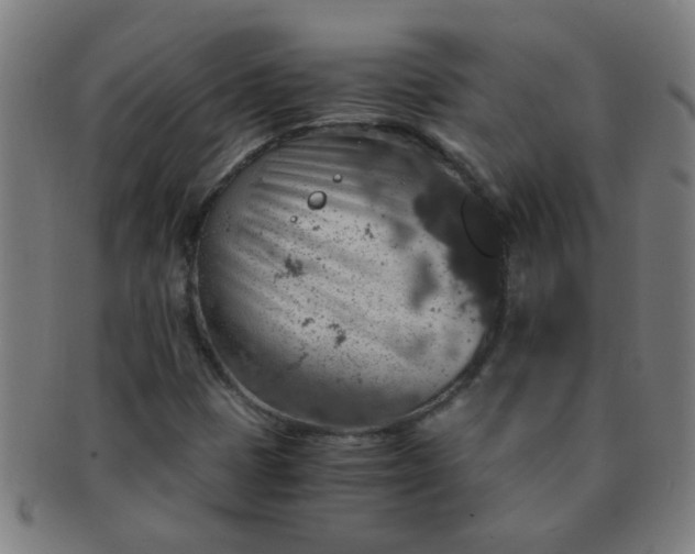 X0000091361401200708241300