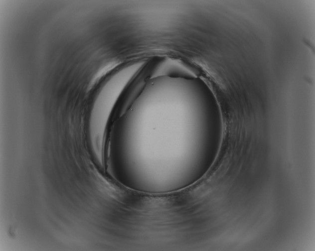 X0000091361402200708241300