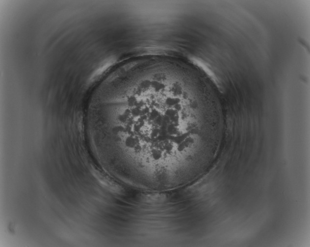 X0000091361403200708241300