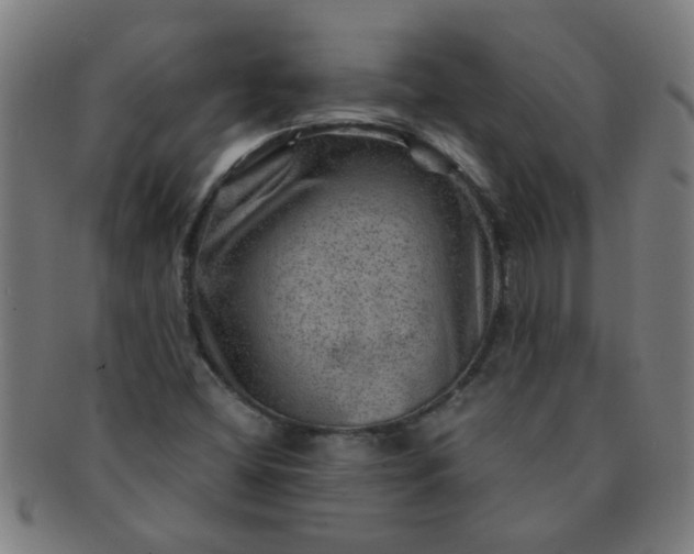 X0000091361404200708241300