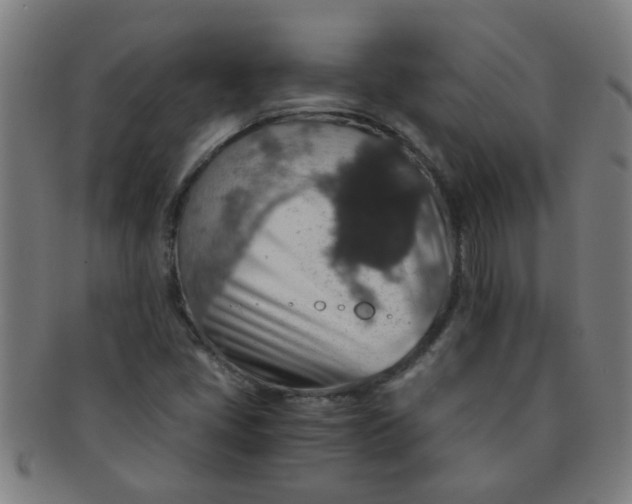 X0000091361405200708241300