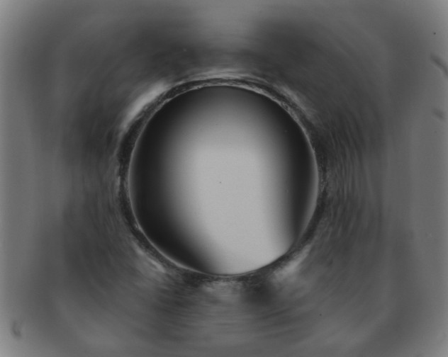 X0000091361406200708241300