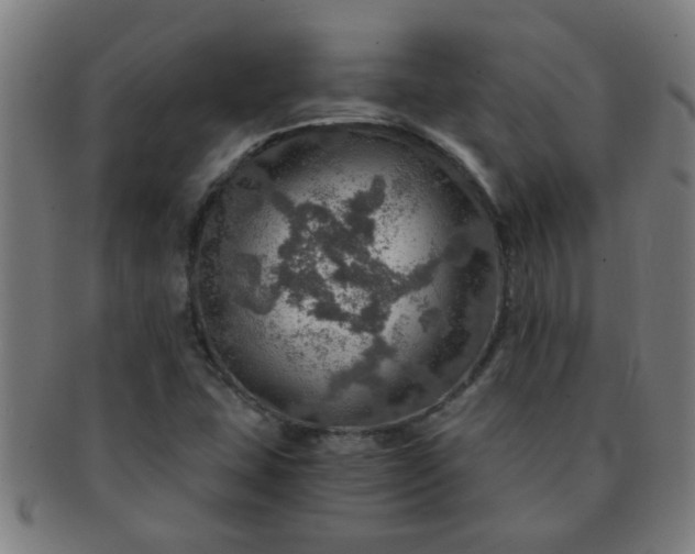 X0000091361407200708241300