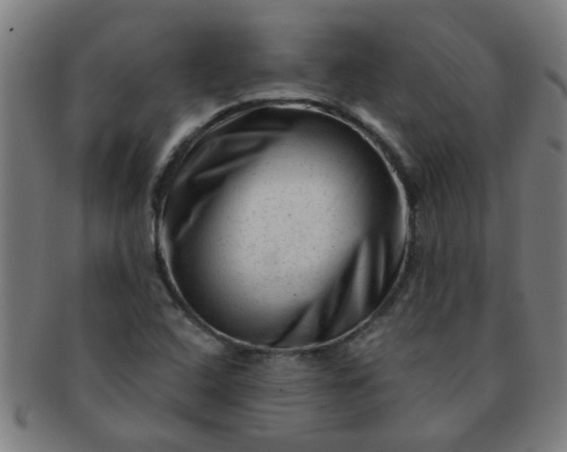 X0000091361408200708241300