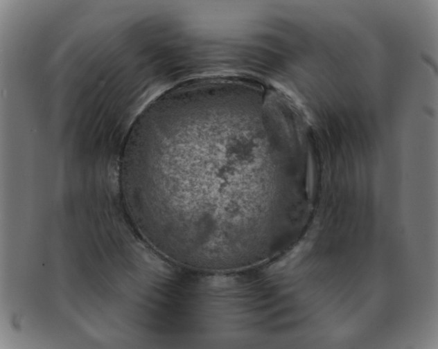 X0000091361409200708241300
