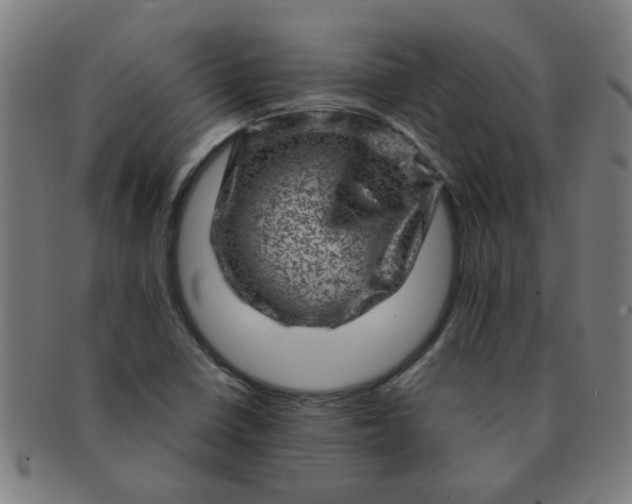 X0000091361410200708241300