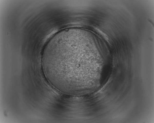 X0000091361411200708241300