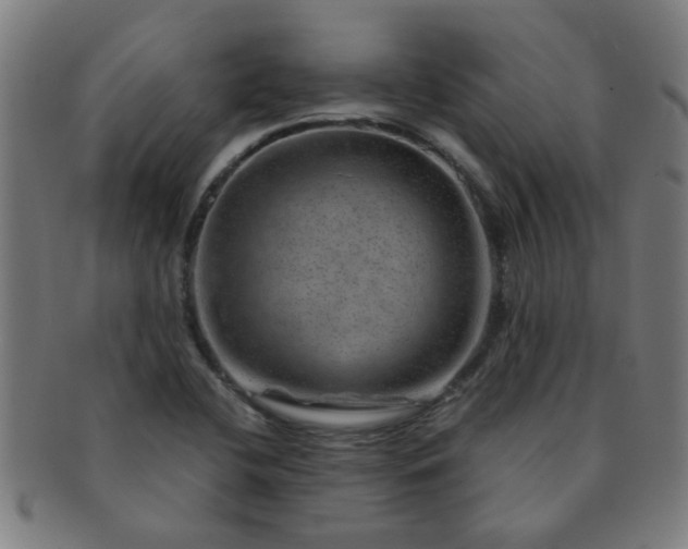 X0000091361412200708241300