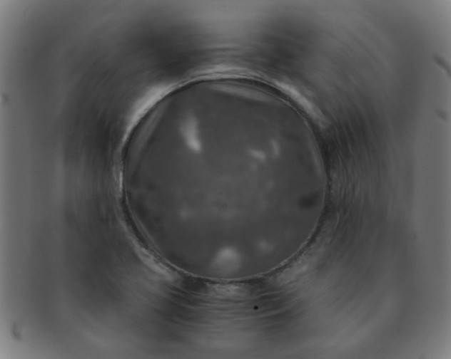 X0000091361413200708241300