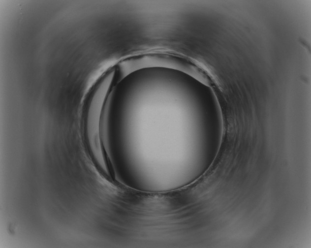 X0000091361414200708241300