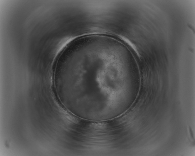 X0000091361415200708241300