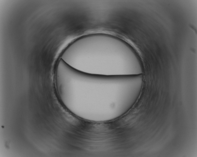 X0000091361416200708241300