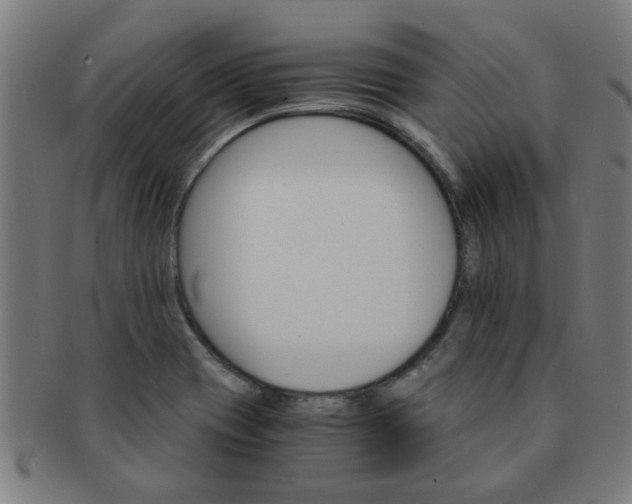 X0000091361417200708241300