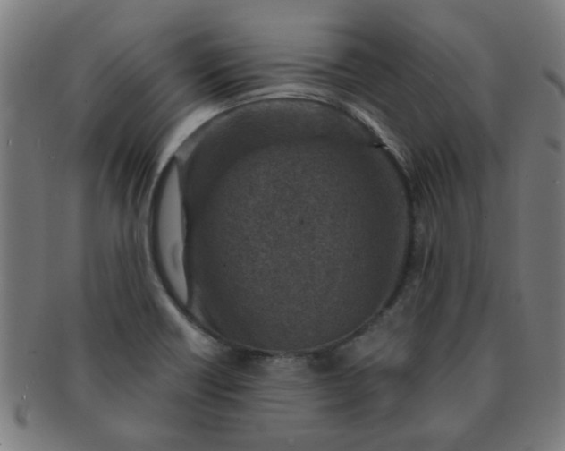 X0000091361418200708241300