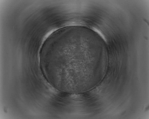 X0000091361419200708241300