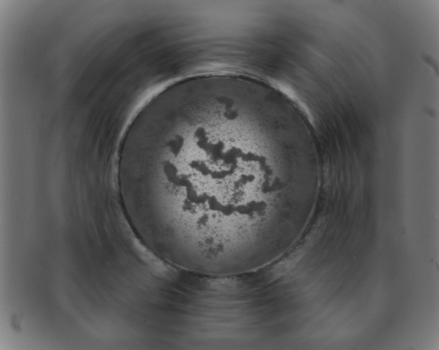 X0000091361421200708241300