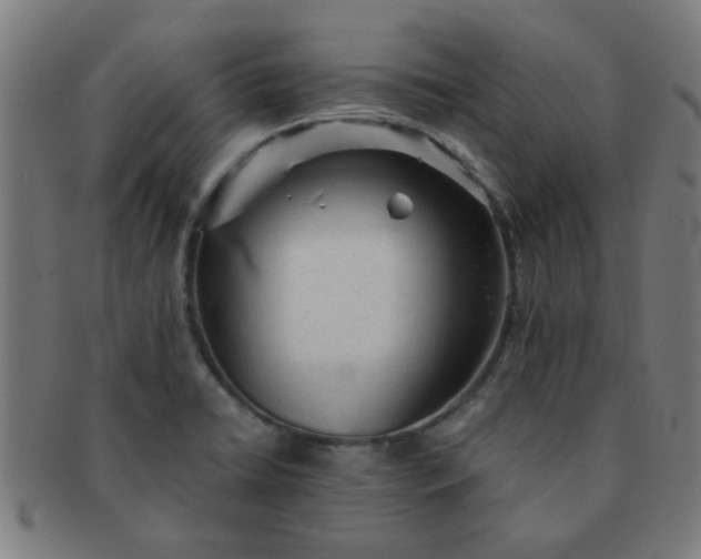 X0000091361422200708241300
