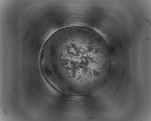 X0000091361423200708241300
