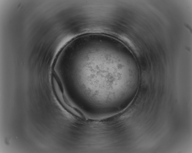 X0000091361424200708241300
