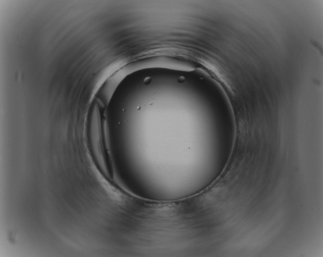 X0000091361426200708241300