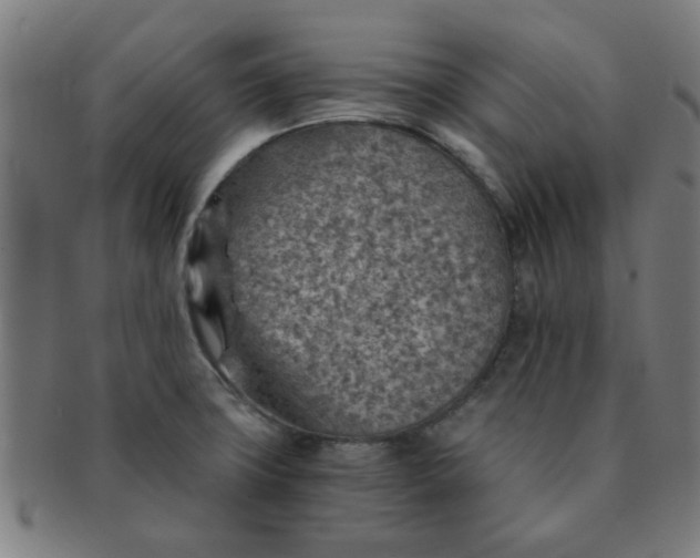 X0000091361427200708241300