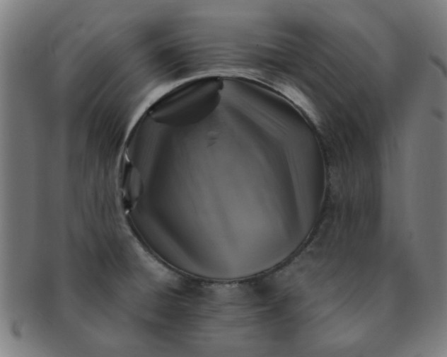 X0000091361428200708241300