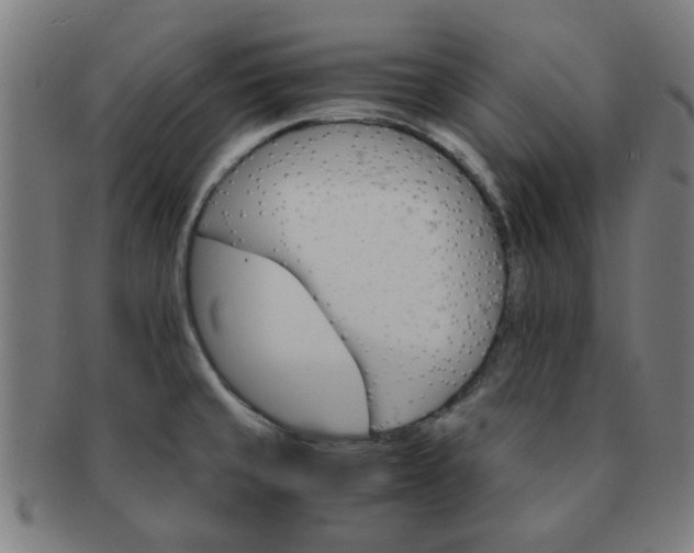 X0000091361429200708241300