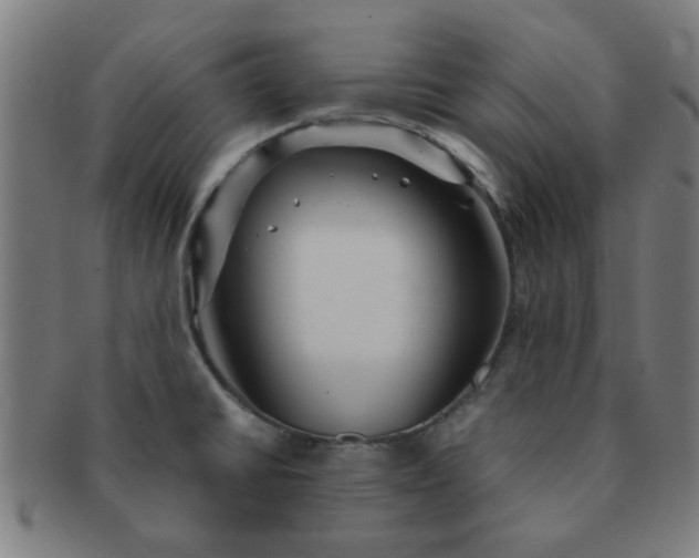 X0000091361430200708241300