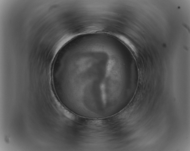 X0000091361431200708241300