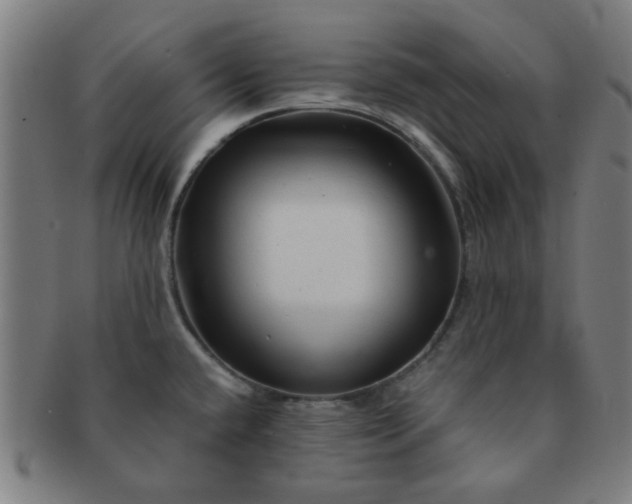 X0000091361432200708241300
