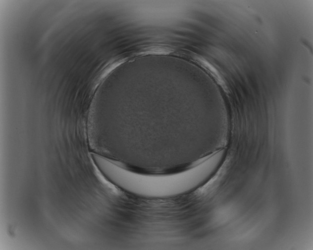 X0000091361433200708241300