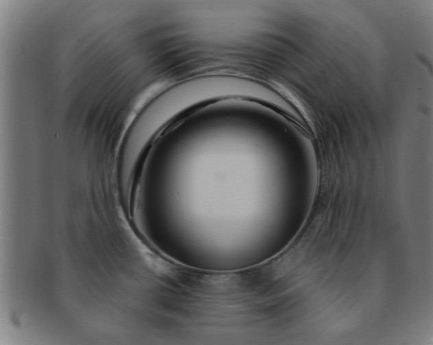 X0000091361434200708241300