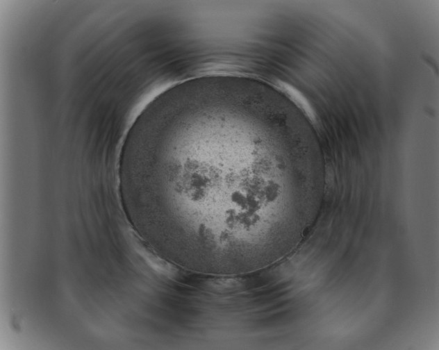 X0000091361435200708241300