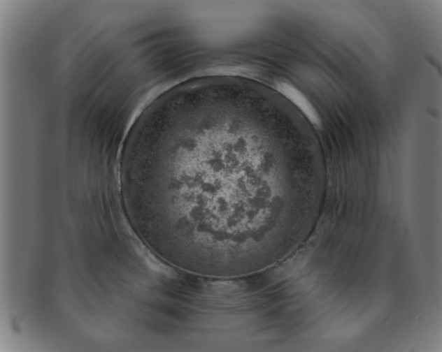 X0000091361436200708241300