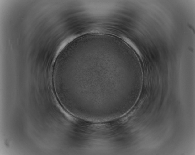 X0000091361437200708241300