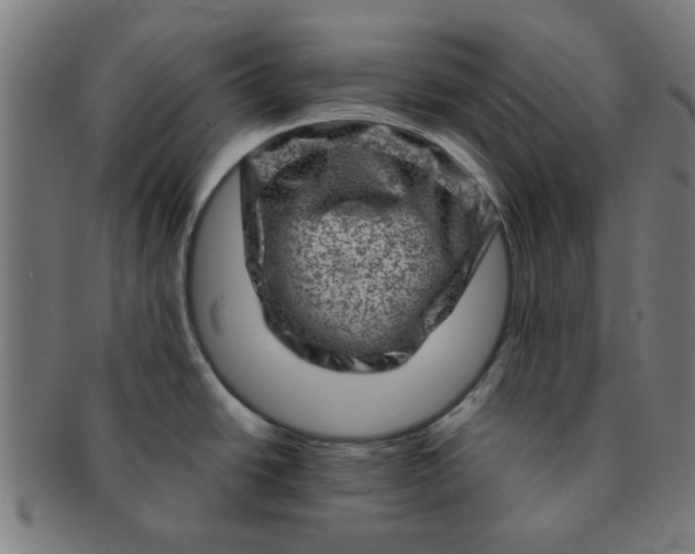 X0000091361438200708241300