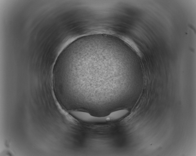 X0000091361439200708241300